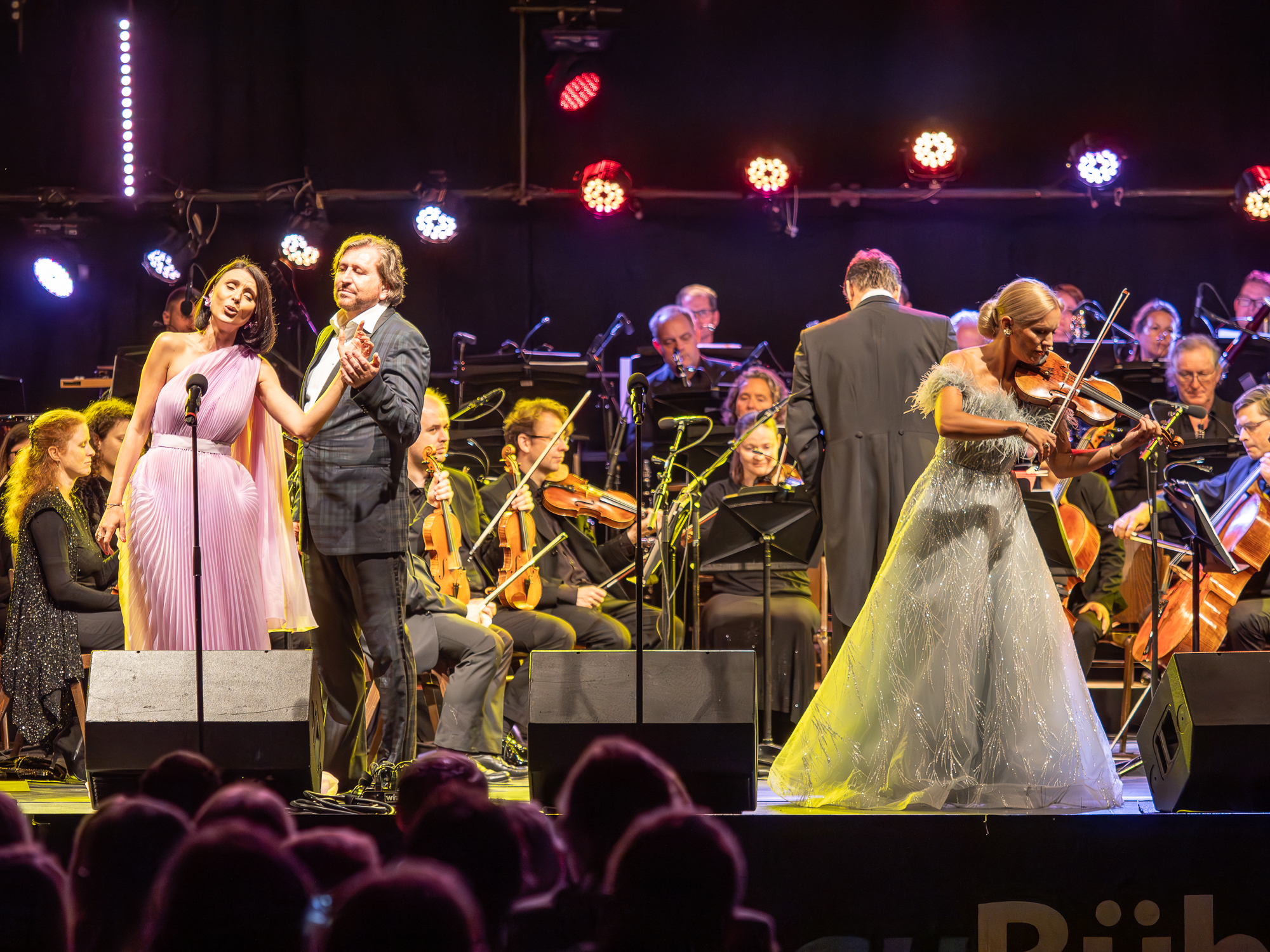 Götterklang trifft Donaugold Orchester und Solisten